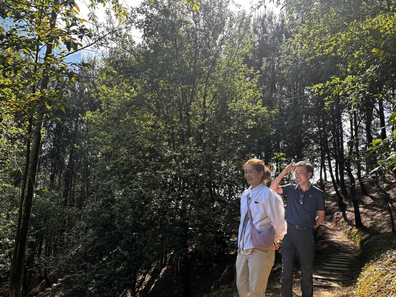 Two hikers pause on a forest trail with stone steps near Dien Bien Phu, Vietnam.