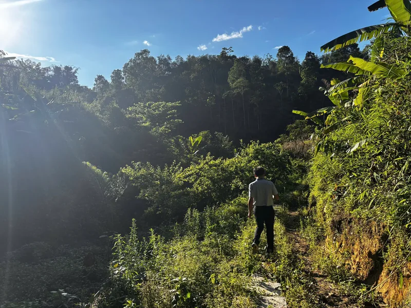A man walks a narrow path through lush greenery and forested hills near Dien Bien Phu.